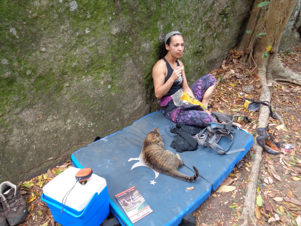 Michelle e seu novo amigo felino