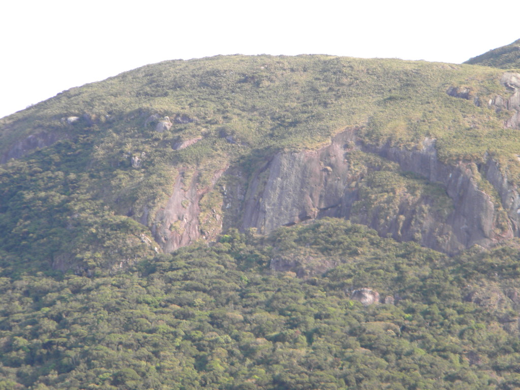 Parede que avistamos do Morro do Getúlio que talvez saia um setor de escalada