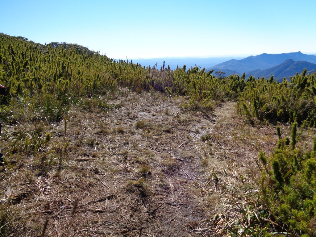 Feito a medição das clareiras da aérea de camping do Itapiroca