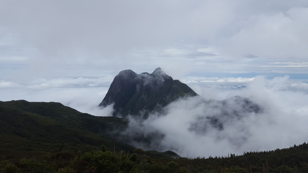 Pico Paraná