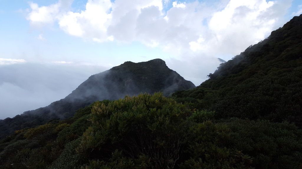 Taquaripoca visto da campo ao lado do Serro Verde, desse ponto em diante precisa varar mato.