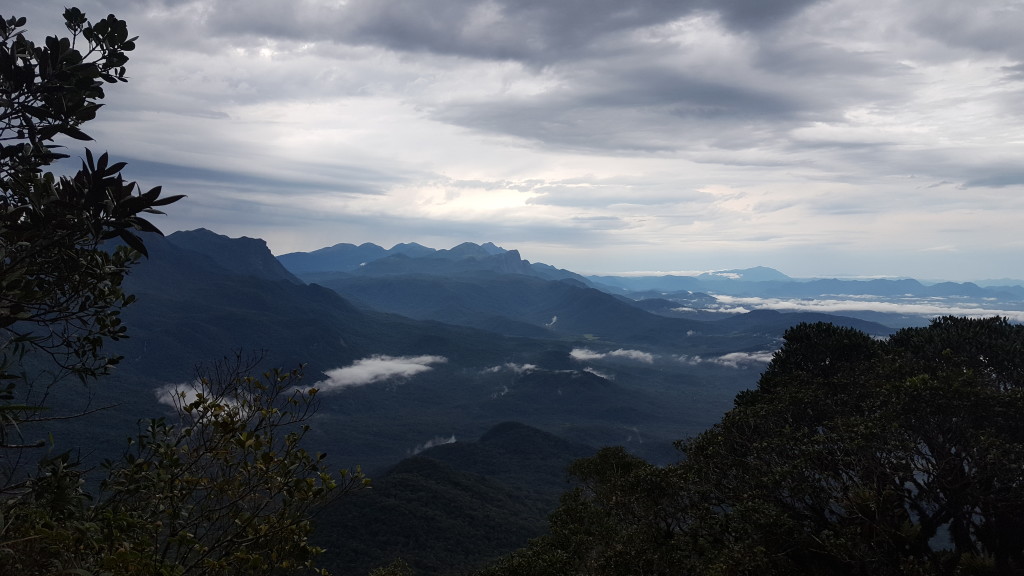 Visual da primeira janela da Noroeste