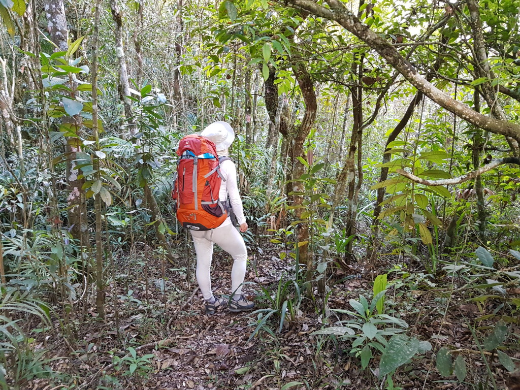 Trilha que desce a montanha é bem definida.