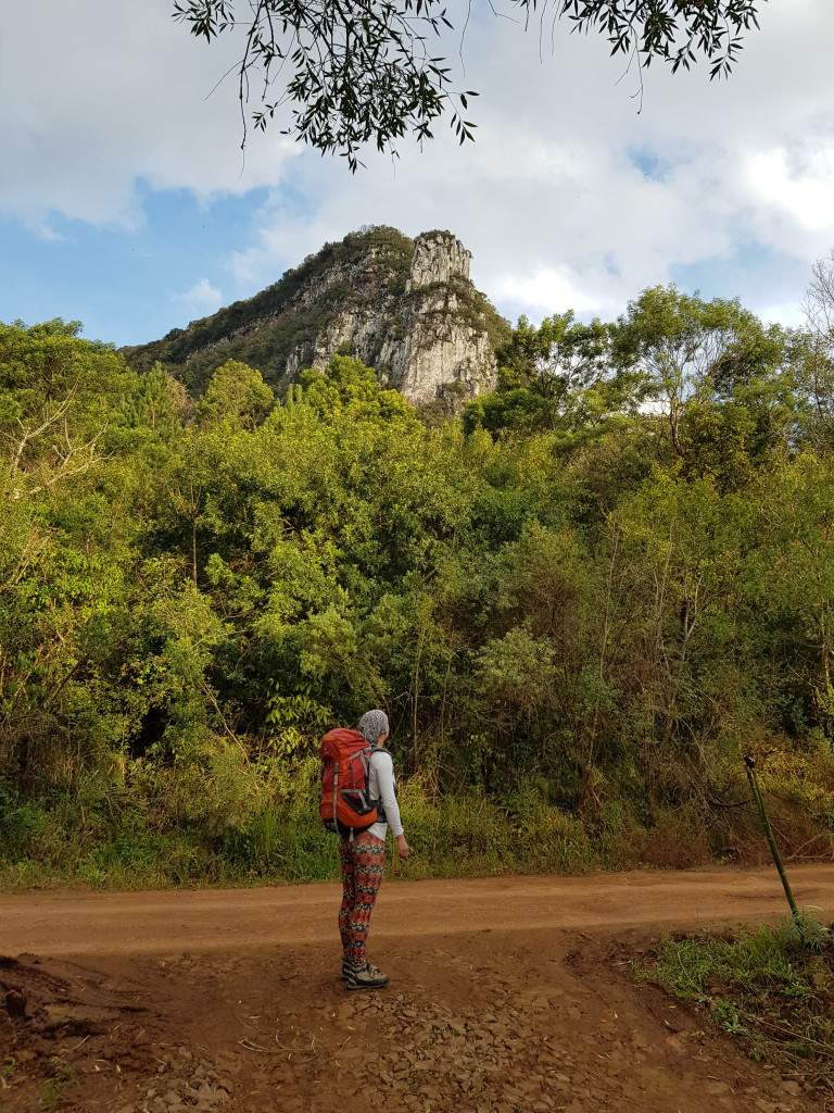 Pico da Canastra visto de baixo.