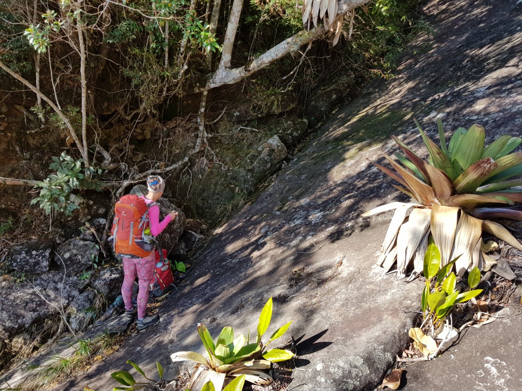 Base da via Maria Nebulosa. A caminhada do carro até a base da via levamos 1:30.