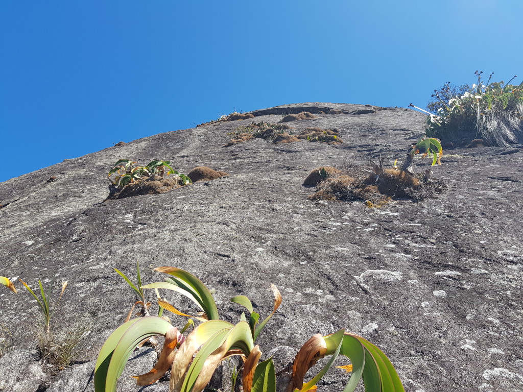 Visual da 15° enfiada com o tetinho lá em cima.