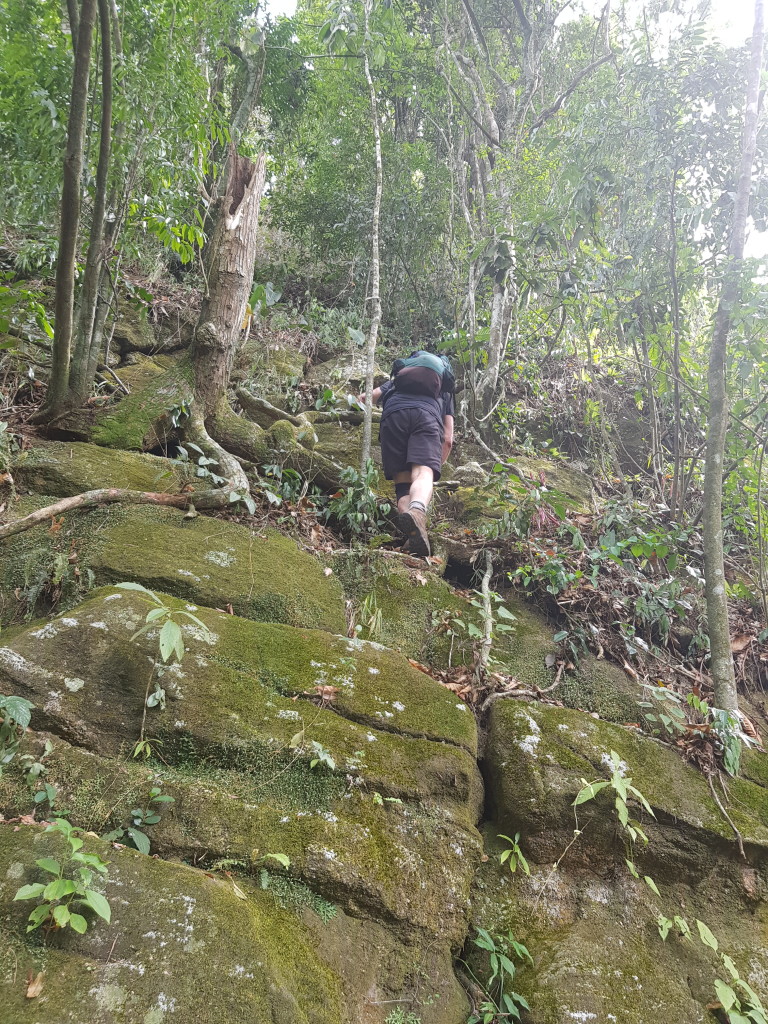 Depois de passar pelo colo entre a Pedra da Gávea e a Pedra Bonita a trilha fica um pouco mais ingrime.