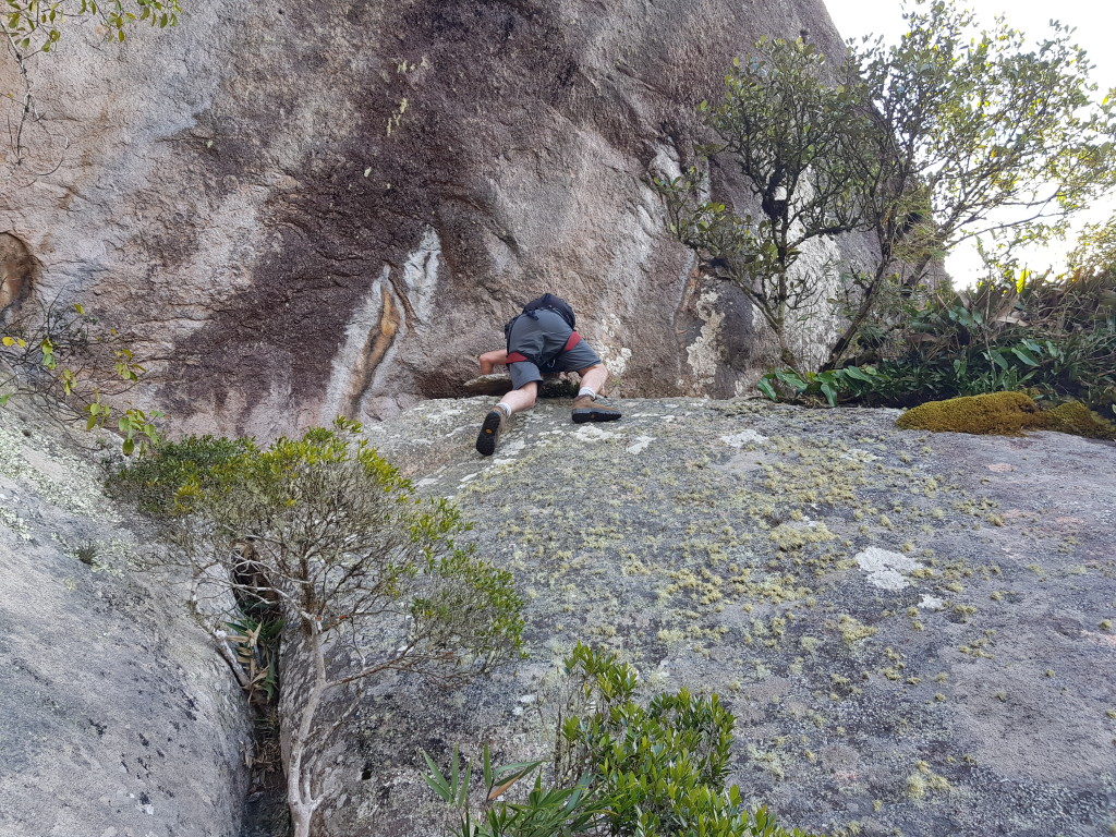 Fiori em mais um trepa pedra.