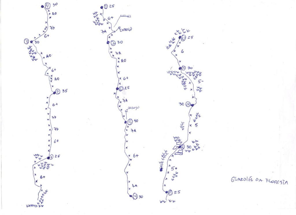 Croqui da via Guardião da Floresta