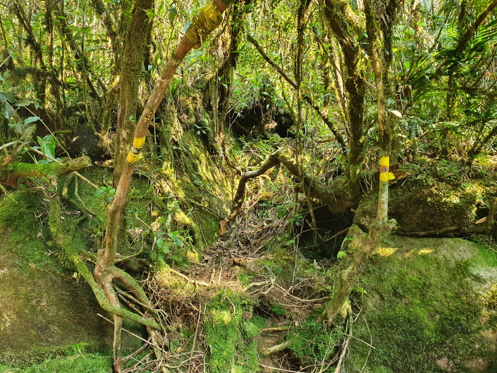 Saída do Rio Forquilha para Garganta 235