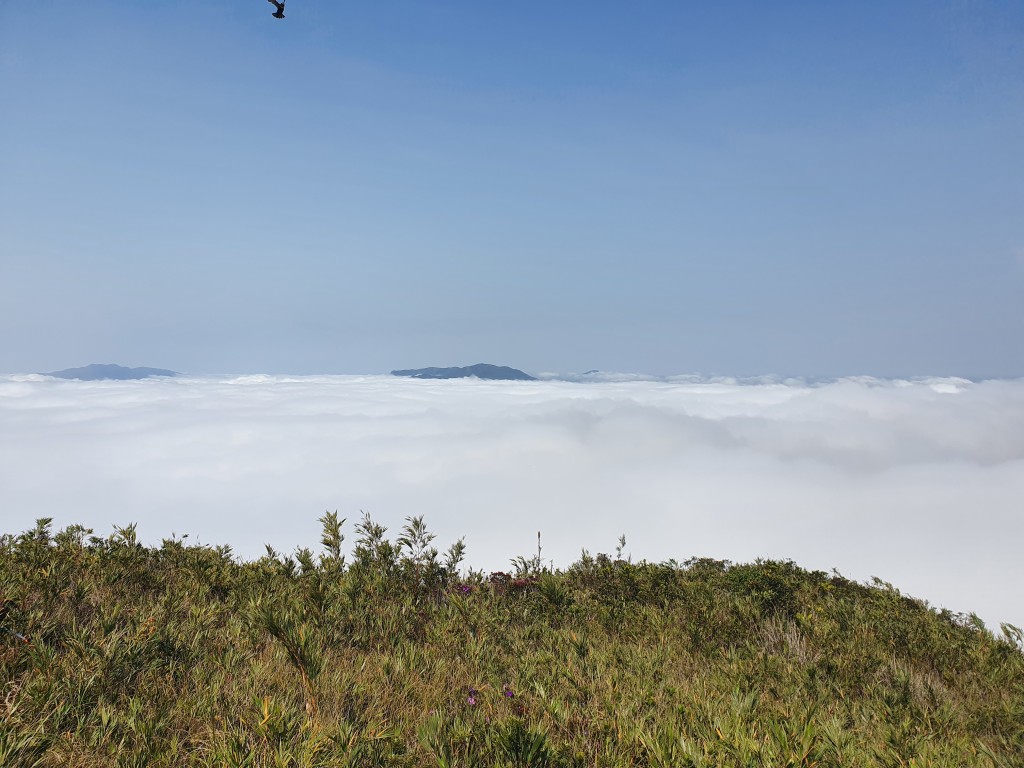 Serra do Marumbi e Serra Farinha Seca 